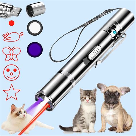 Laser Pointer Dog