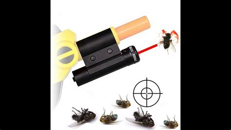 Laser Pointer Kill Flies