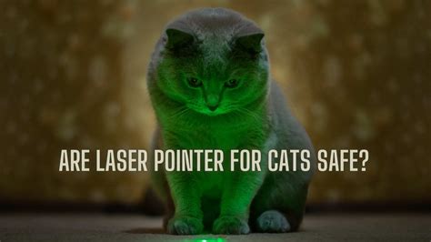 Laser Pointer Safe For Cats