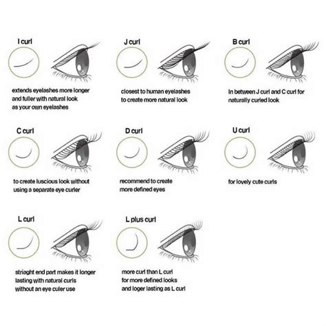Lash Curl Examples