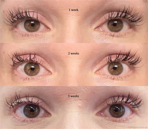 Lash Extensions 3 Weeks