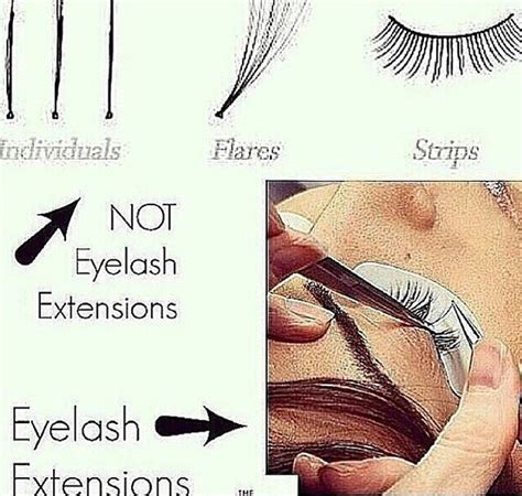 Lash Extensions Vs False Lashes Reddit
