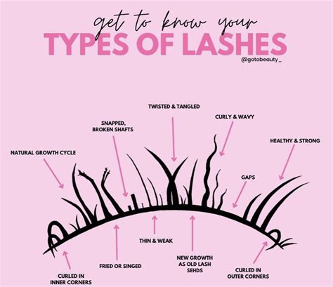 Lash Tips Quotes