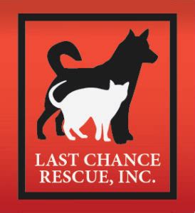 last chance rescue facebook