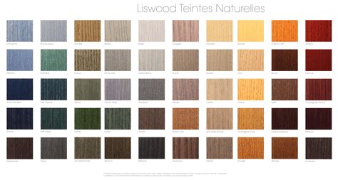 LASURE INTEMPERIE EXTERIEUR ECOFA 66006609 Peintures naturelles et