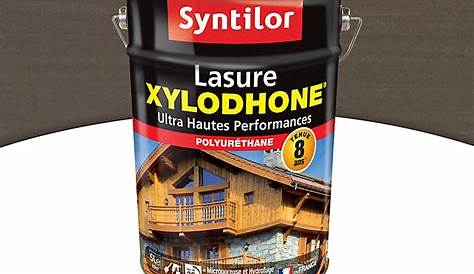 Lasure Gris Anthracite Castorama Peinture Fer Syntilor Ultra Protect 1,5L
