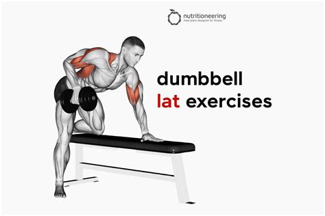 lat exercises with dumbbells