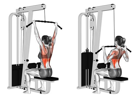 Lat Pull Down Front