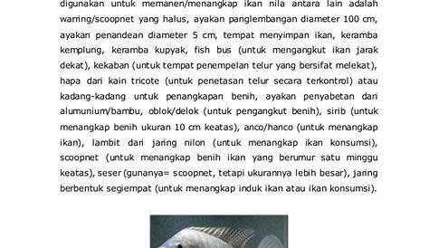 170+ Makalah Tentang Budidaya Ikan Nila.DOC - MAKALAHAB