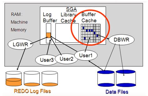 Latch Cache Buffers Chains Oracle 19C