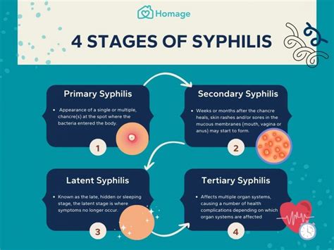 Understanding Late Stage Syphilis: Symptoms, Risks, and Treatment Options