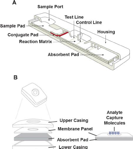 Lateral Flow Membrane Merck