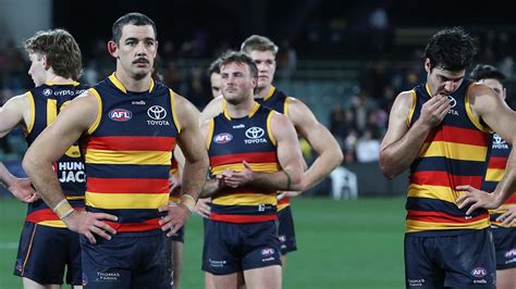 latest adelaide crows news