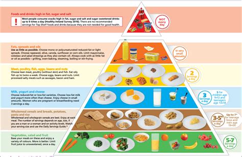 latest food pyramid 2016