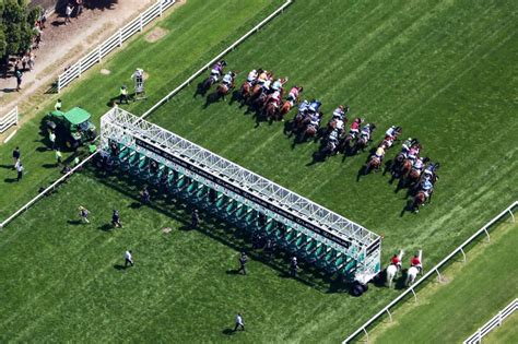 latest melbourne cup field 2023
