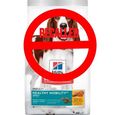 latest news on dog food recall