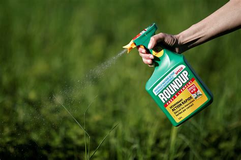 latest update on roundup lawsuit next trial
