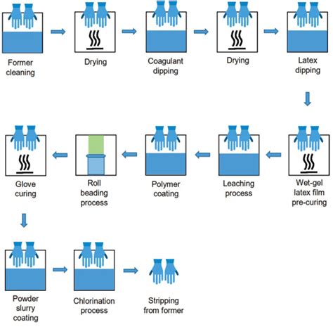 Latex Rubber Gloves Manufacturing Process