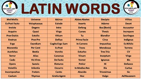 latin script word list