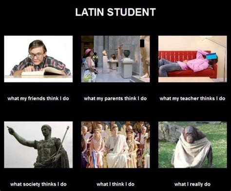19 Things That Latin Students Know To Be True Student problems