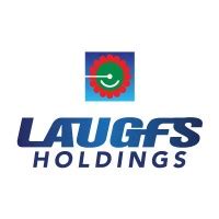 laugfs holdings annual report