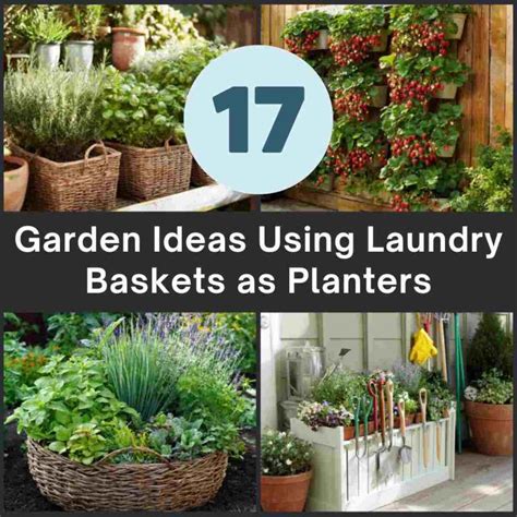 Laundry Baskets As Planters