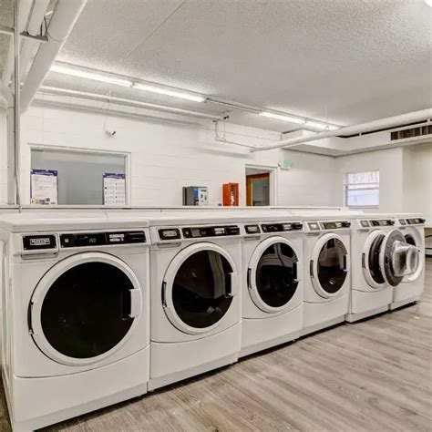 Laundry Cleaner Greeley