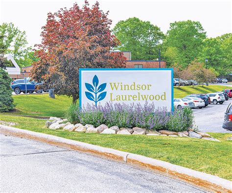 laurelwood mental health