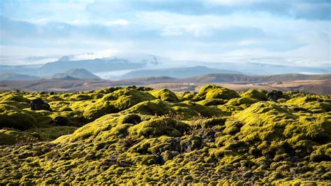 lava fields iceland