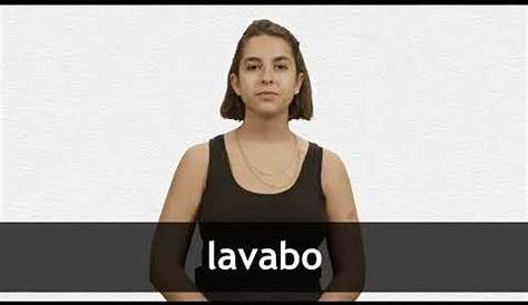 Lavabo Meaning In English Box To Toilet Synonym