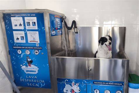 Lavado De Perros Automatico De Perros