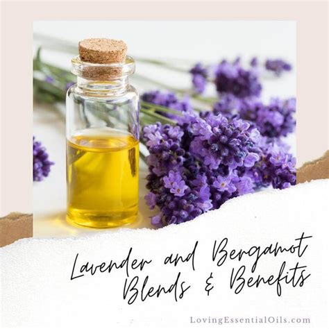 Lavender & Bergamot