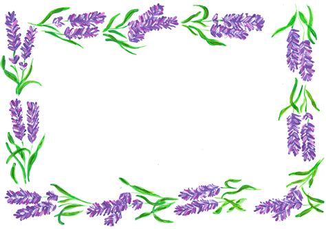 Lavender Border Clipart