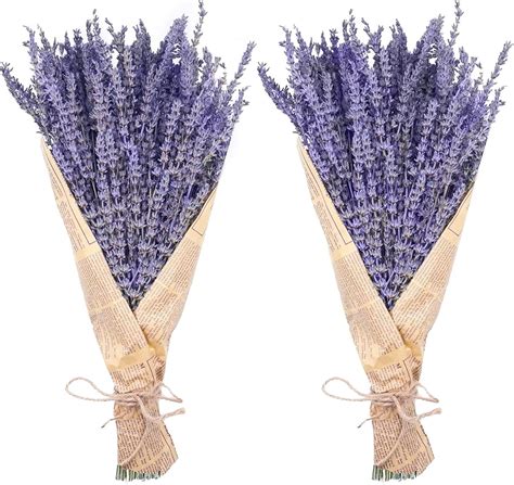 lavender dried flowers