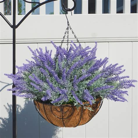 Lavender Flowers Hanging