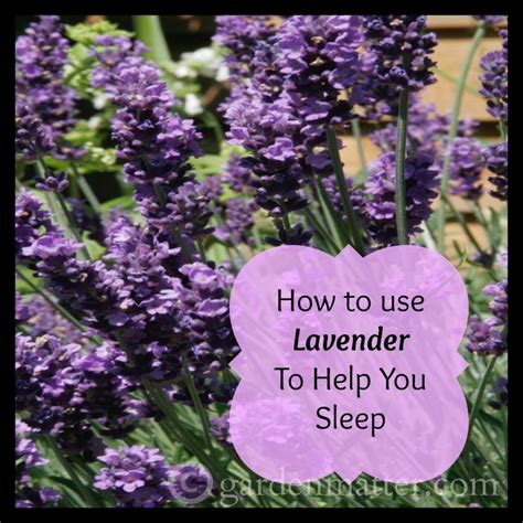 lavender to help sleep