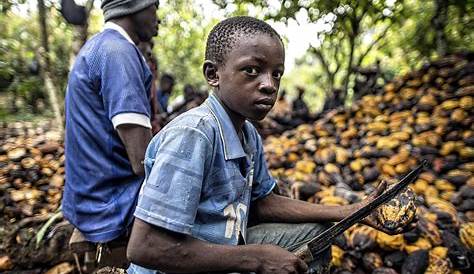 Lavoro Minorile Africa Sulle Nostre Tavole I Prodotti Dello Sfruttamento Di 108