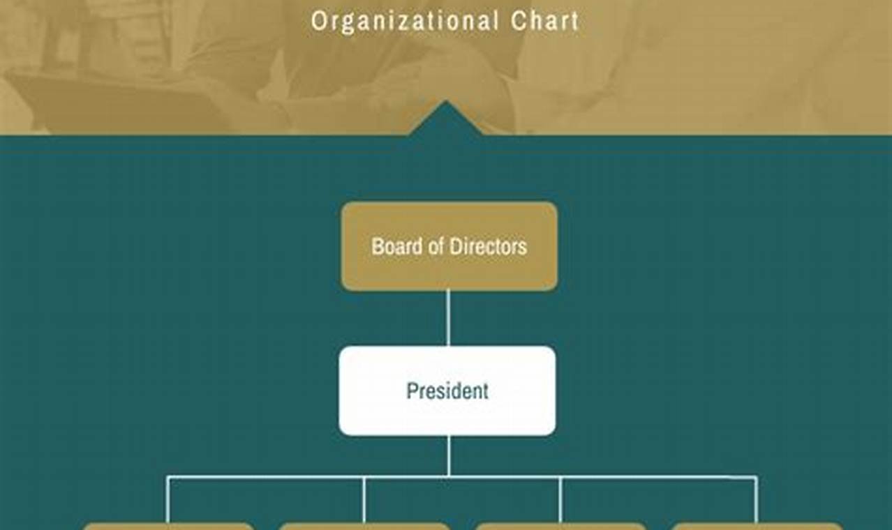 Law Firm Management Template