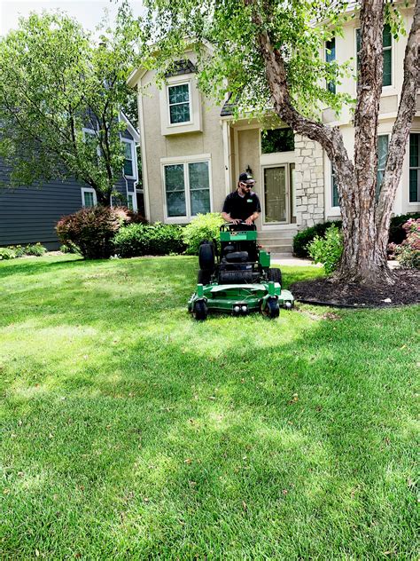 Lawn Mowing Hiring Near Me Lawn Care Flyer Lawn Mowing Yard Care