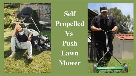 SelfPropelled Mower vs. Push Mower Green New Lawn