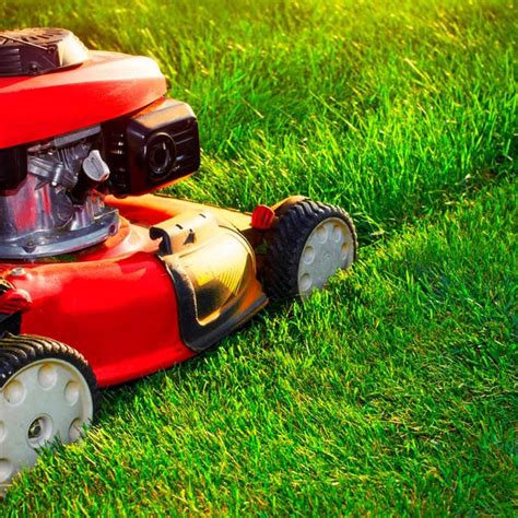 How to Get Your Lawn Mower Ready for Spring • GreenView Fertilizer