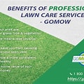 Benefits of Lawn Care