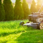 Importance of Lawn Care