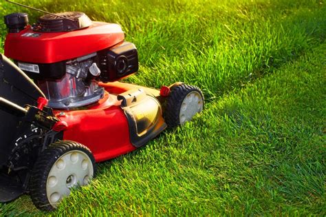 Lawn Care Services to Consider