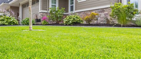 lawn fertilization arlington