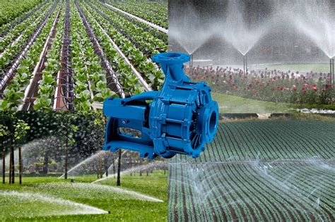 Lawn Irrigation Pump System