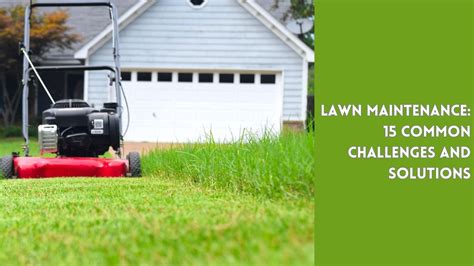 lawn maintenance challenges