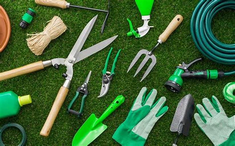Lawn Maintenance Tools
