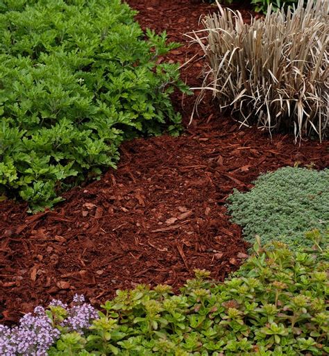 Lawn Mulch Cheap