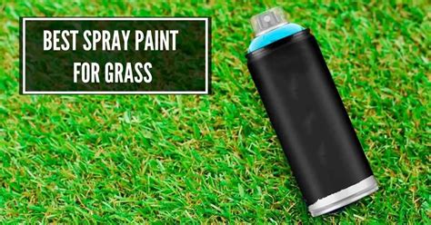Lawn Spray Paint